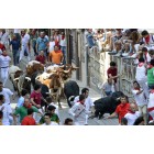 Fotografía de los Encierros de Ampuero 2014