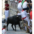 Fotografía de los Encierros de Ampuero 2014