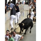 Fotografía de los Encierros de Ampuero 2015