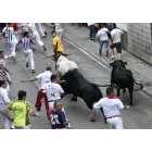 Fotografía de los Encierros de Ampuero 2015