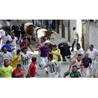 Fotografía de los Encierros de Ampuero 2015