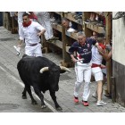 Fotografía de los Encierros de Ampuero 2015