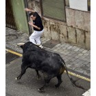 Fotografía de los Encierros de Ampuero 2018