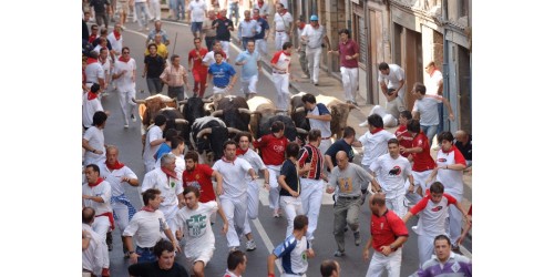 Fotografías Encierros de Ampuero del 2006