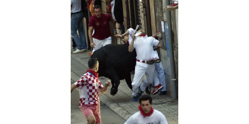 Fotografias Encierros de Ampuero del 2015