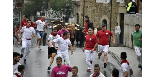 Fotografias Encierros de Ampuero del 2016