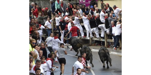 Fotografías Encierros de Ampuero 2017