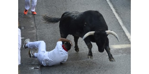 Fotografías de los Encierros de Ampuero 2018